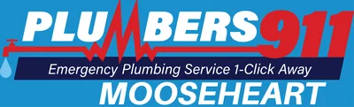 Plumbers 911 Mooseheart